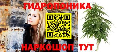ALPHA PVP Будённовск