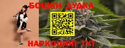 сатива Бузулук