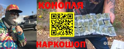 сатива Бузулук