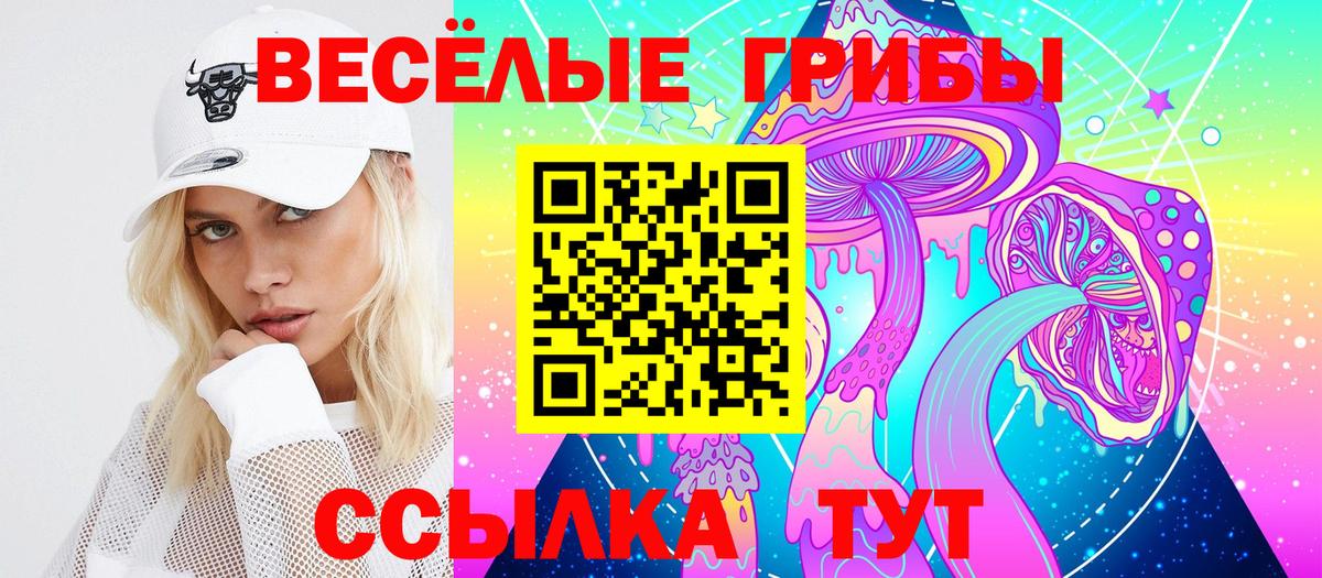 купить наркотик  Псилоцибиновые грибы Psilocybe  Вход с VPN  Волхов 