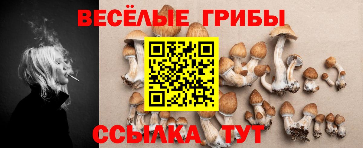 Галлюциногенные грибы мухоморы Волхов